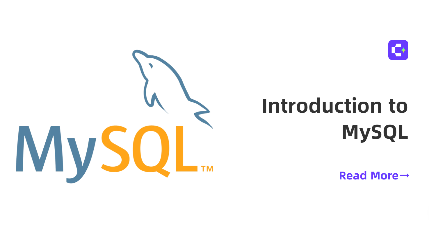 Introduction to MySQL: A Comprehensive Guide for Beginners